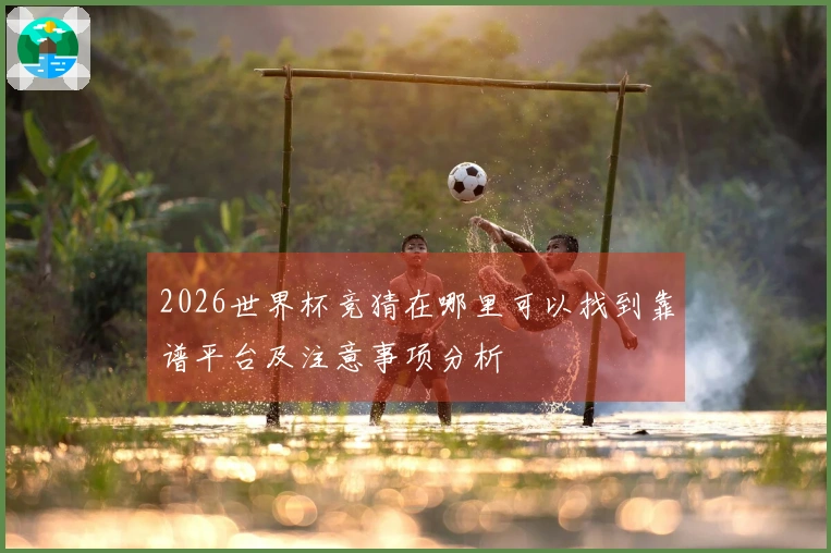 2026世界杯竞猜在哪里可以找到靠谱平台及注意事项分析