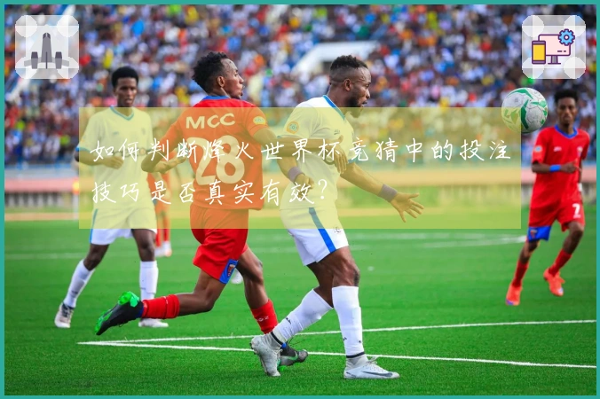 如何判断烽火世界杯竞猜中的投注技巧是否真实有效？